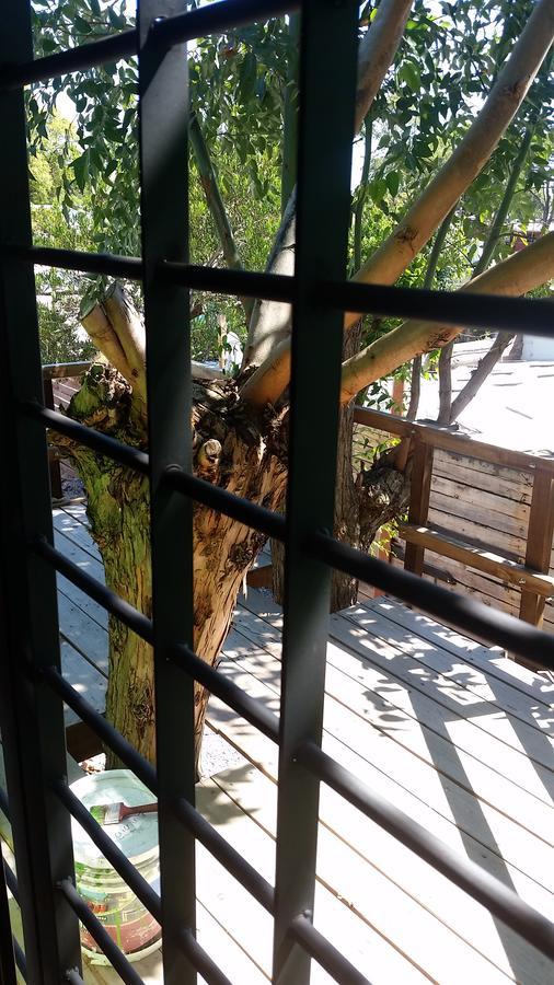 Mi Pesadilla Salinas Home المظهر الخارجي الصورة