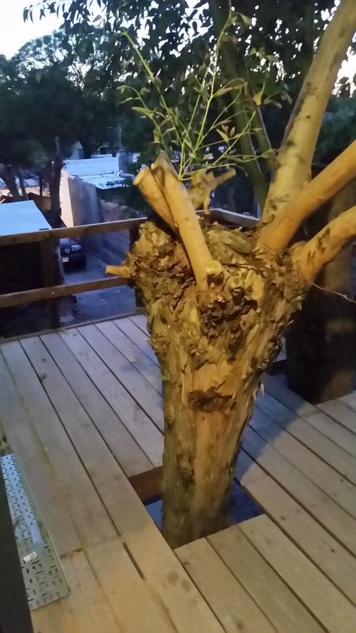 Mi Pesadilla Salinas Home المظهر الخارجي الصورة
